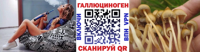 Галлюциногенные грибы мицелий  купить наркотик  Павловский Посад 